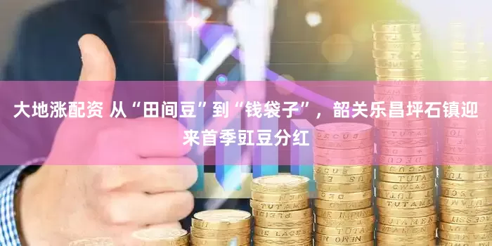 大地涨配资 从“田间豆”到“钱袋子”，韶关乐昌坪石镇迎来首季豇豆分红